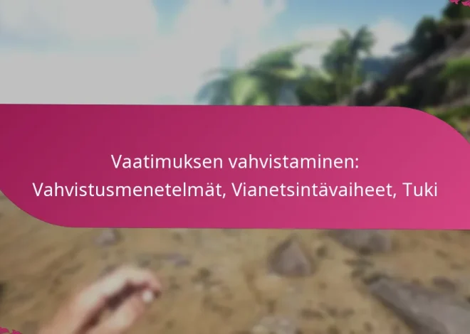 Vaatimuksen vahvistaminen: Vahvistusmenetelmät, Vianetsintävaiheet, Tuki