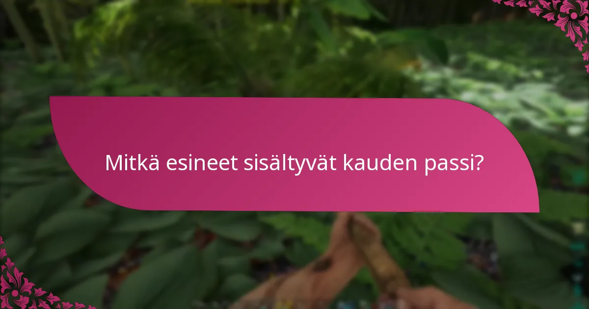 Kuinka kauden passi vertautuu muihin paketteihin?